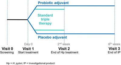 Efficacy and safety of Lacticaseibacillus rhamnosus R0011 and Lactobacillus helveticus R0052 as an adjuvant for Helicobacter pylori eradication: a double-blind, randomized, placebo-controlled study